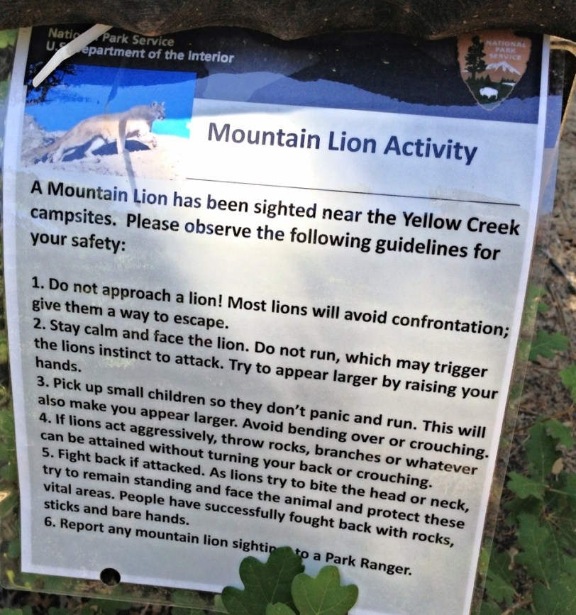 20130808-154913.jpg
