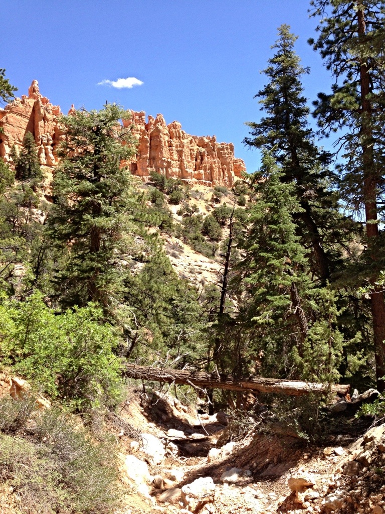 20130808-155612.jpg